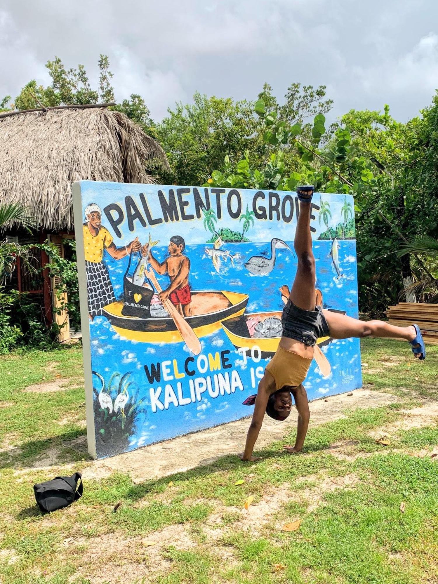 Palmento Grove Garifuna Eco-Cultural & Healing Institute Hopkins Exterior foto