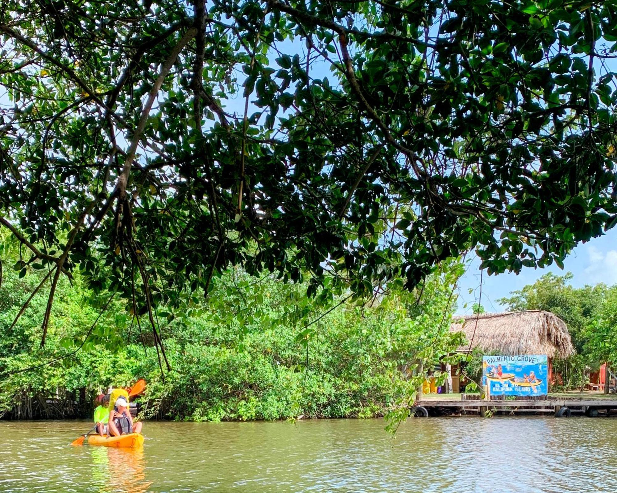 Palmento Grove Garifuna Eco-Cultural & Healing Institute Hopkins Exterior foto