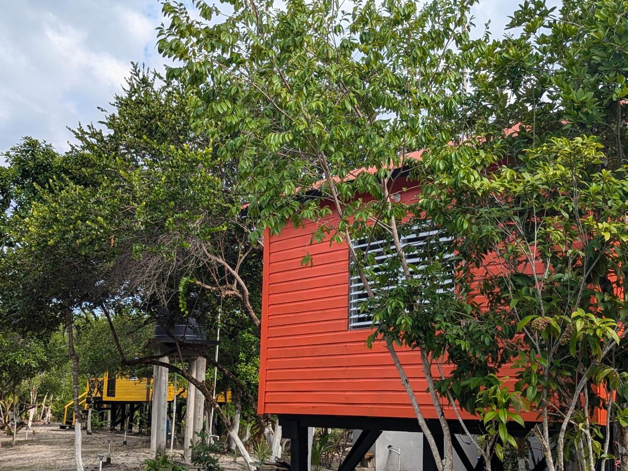 Palmento Grove Garifuna Eco-Cultural & Healing Institute Hopkins Exterior foto