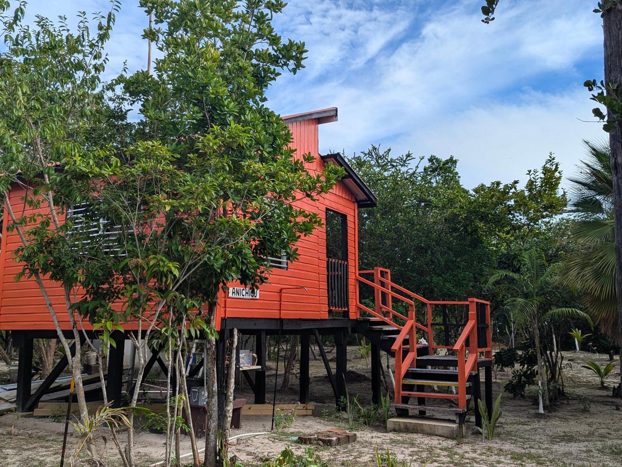 Palmento Grove Garifuna Eco-Cultural & Healing Institute Hopkins Exterior foto