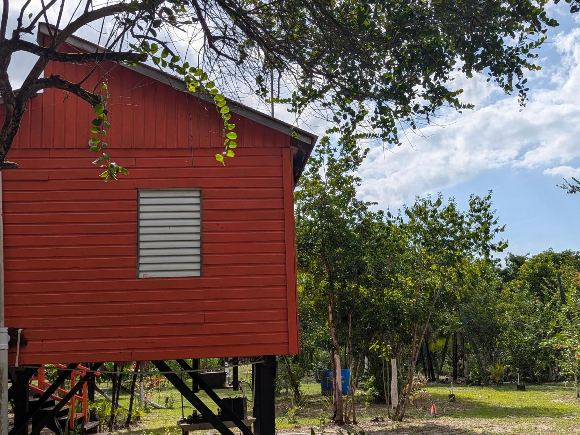 Palmento Grove Garifuna Eco-Cultural & Healing Institute Hopkins Exterior foto