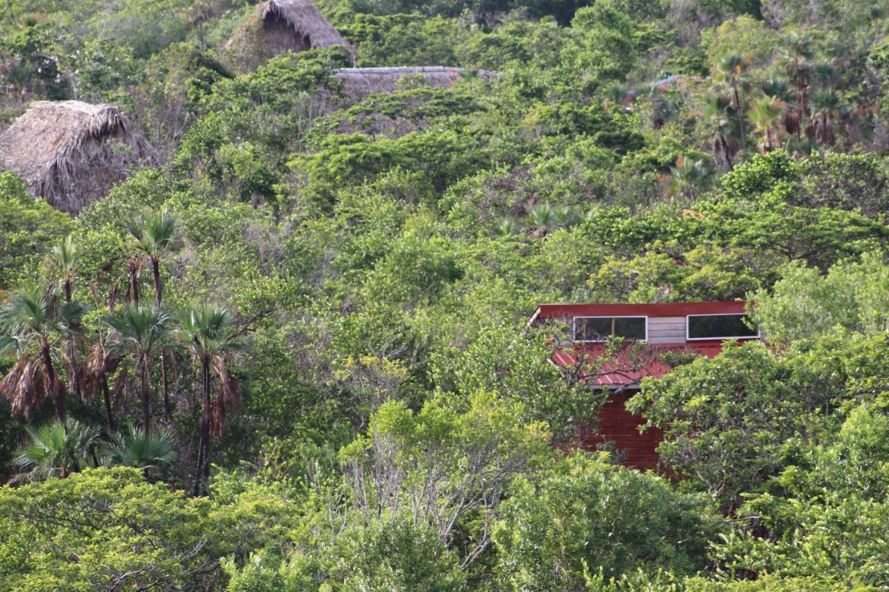 Palmento Grove Garifuna Eco-Cultural & Healing Institute Hopkins Exterior foto