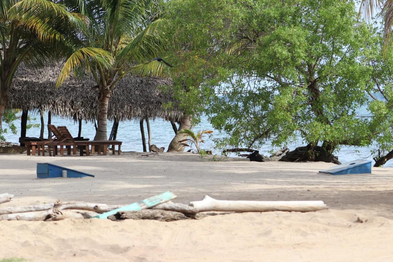 Palmento Grove Garifuna Eco-Cultural & Healing Institute Hopkins Exterior foto