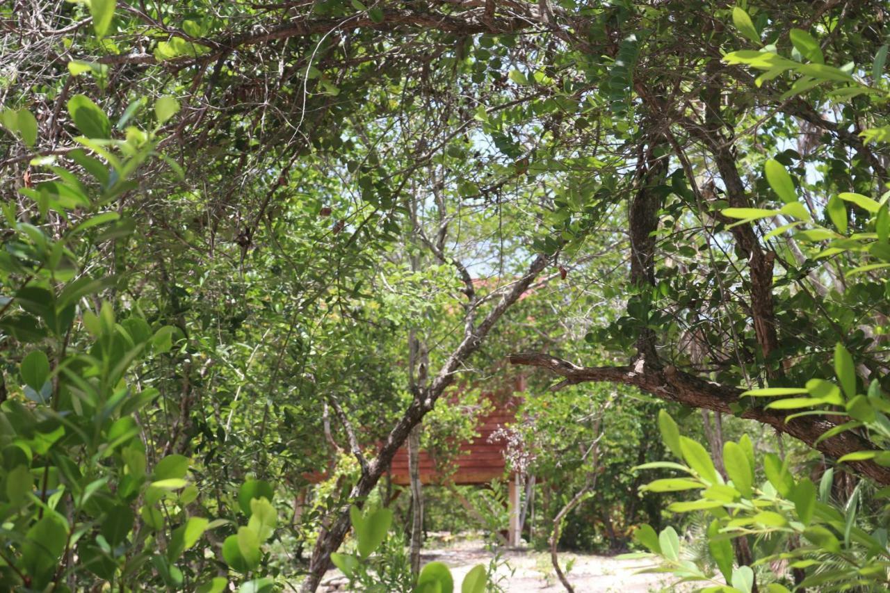 Palmento Grove Garifuna Eco-Cultural & Healing Institute Hopkins Exterior foto